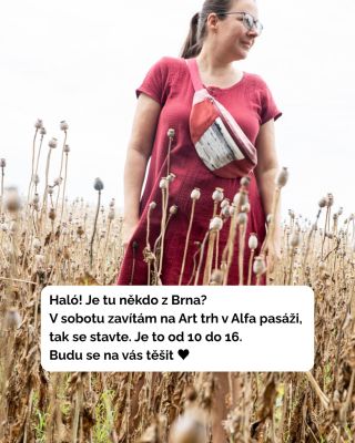 V sobotu vyrazím do Brna. Respektive v pátek odpoledne, abych nemusela brzy vstávat. Každopádně v sobotu budu v Alfa...